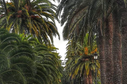 California — BSU Electronics